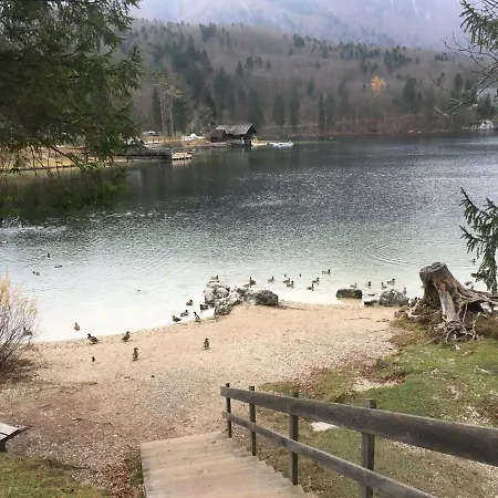 Casa Bohinj